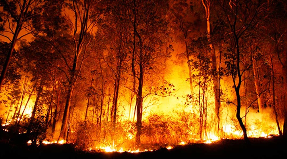 País assiste ao avanço de incêndios generalizados enquanto governo segue sem ações efetivas