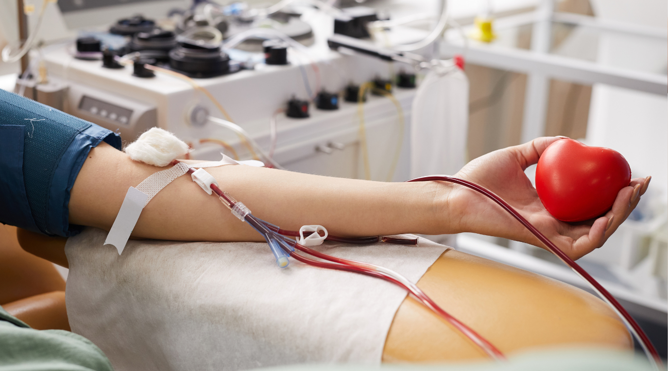 Campanha Junho Vermelho de doação de sangue 🩸 | Um ato de amor que salva vidas! Faça a sua parte!